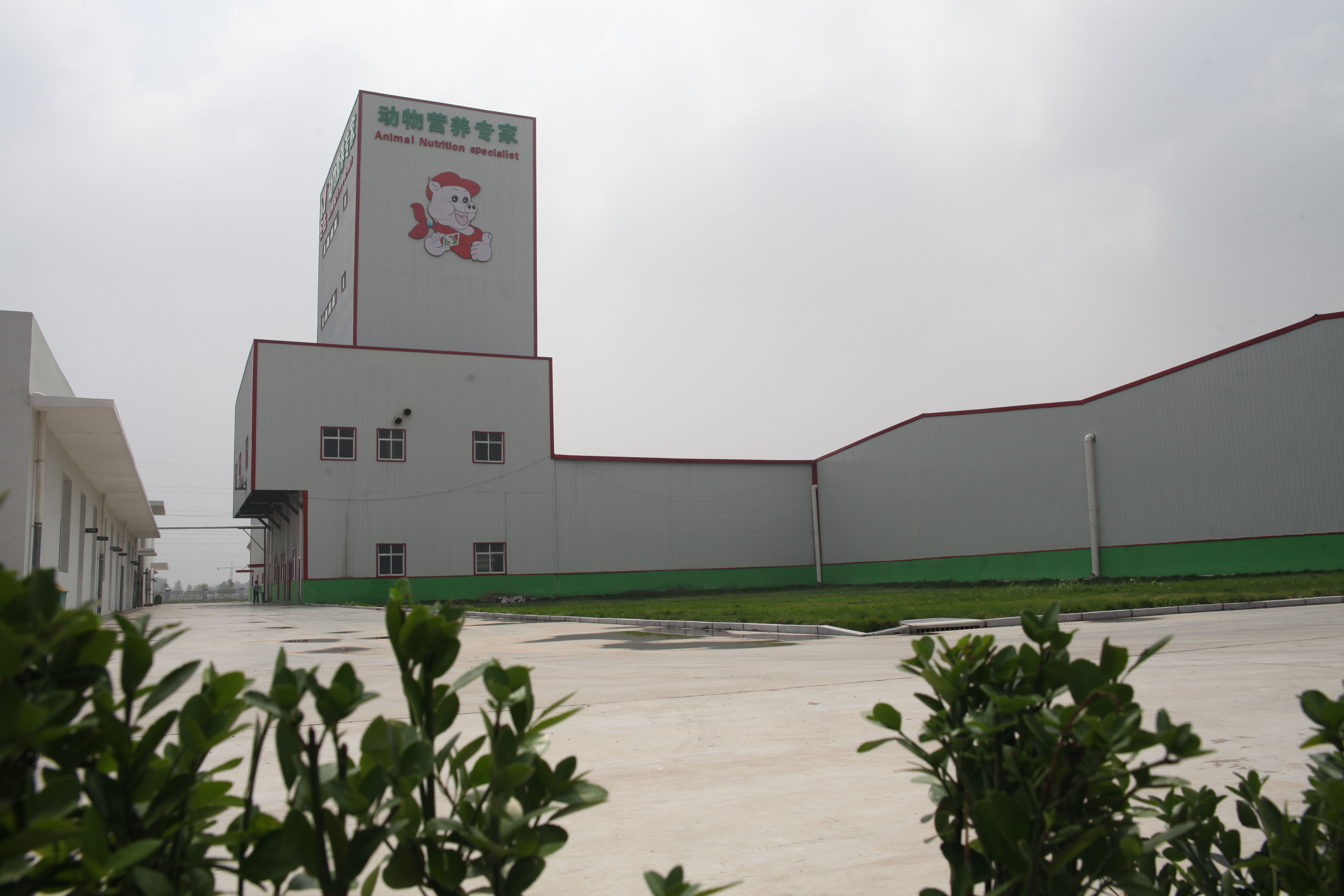 安佑生物科技集團股份 技術咨詢引領產業創新之路
